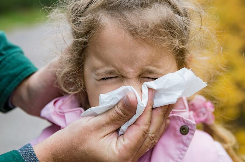 Navigating Seasonal Allergies